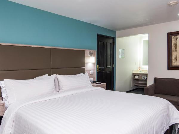 Holiday Inn & Suites Mexico Zona Reforma, an IHG Hotel : photo 1 de la chambre chambre standard