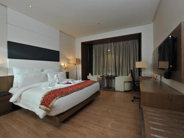 Narayani Heights, Ahmedabad : photo 3 de la chambre chambre double deluxe