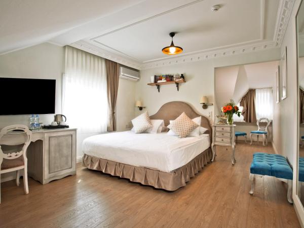 Villa Blanche Hotel SPA & Garden Pool : photo 4 de la chambre chambre double