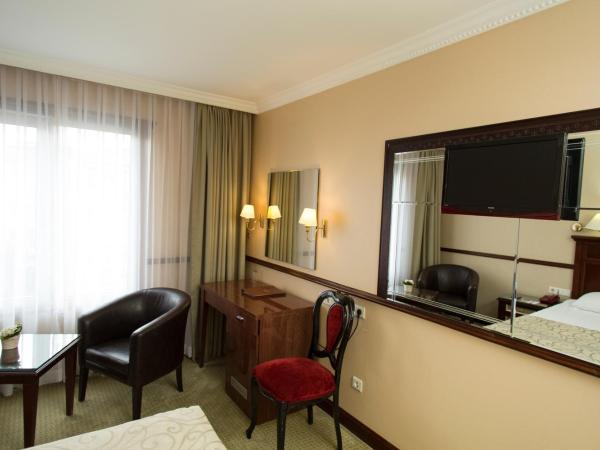 Topkapi Inter Istanbul Hotel : photo 6 de la chambre chambre simple