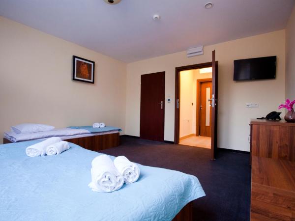 Aparthotel W Pałacu : photo 1 de la chambre chambre triple