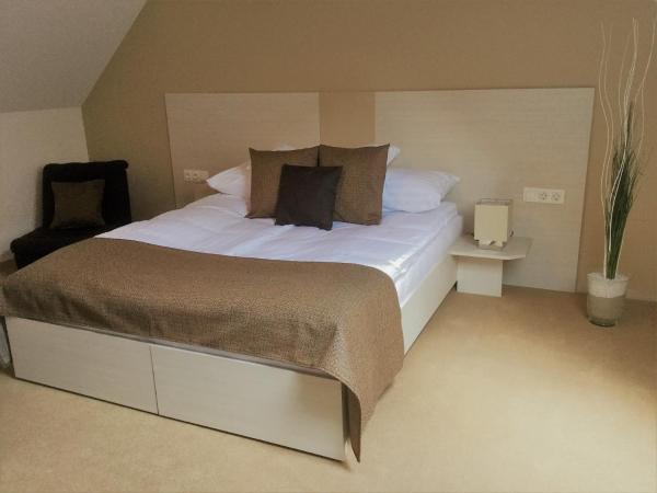 Hotel Astoria : photo 10 de la chambre studio avec terrasse