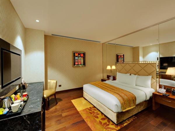 Niranta Transit Hotel Terminal 2 Arrivals/Landside : photo 4 de la chambre chambre lit queen-size premium