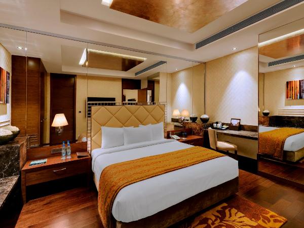 Niranta Transit Hotel Terminal 2 Arrivals/Landside : photo 3 de la chambre chambre lit queen-size premium