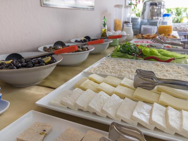 Hotel Dost : photo 10 de la chambre chambre double ou lits jumeaux standard