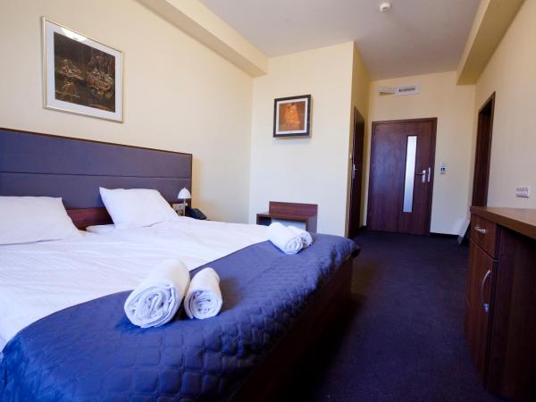 Aparthotel W Pałacu : photo 3 de la chambre chambre double standard