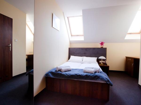 Aparthotel W Pałacu : photo 2 de la chambre grande chambre simple