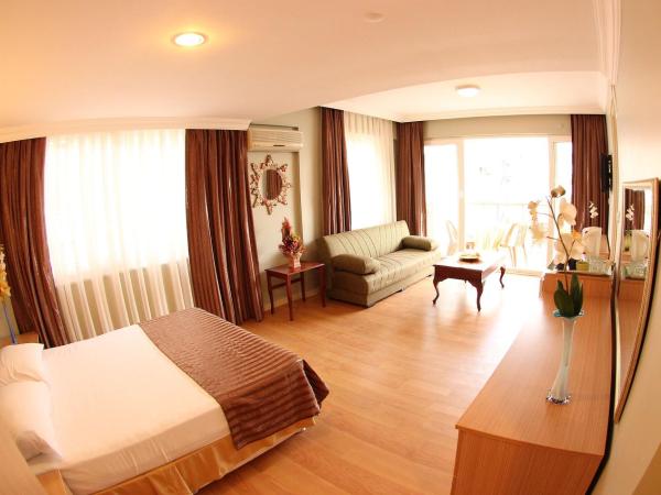 Hotel Dost : photo 5 de la chambre suite (2 adultes + 1 enfant)