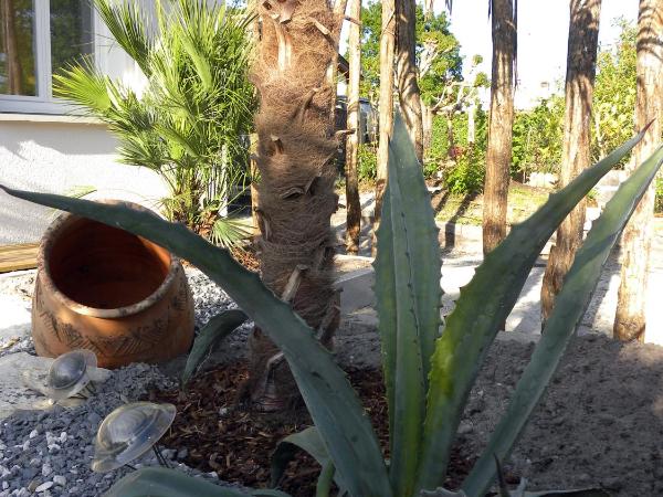 Villa Mogador Piscine et Balnéo : photo 3 de la chambre suite deluxe avec baignoire spa