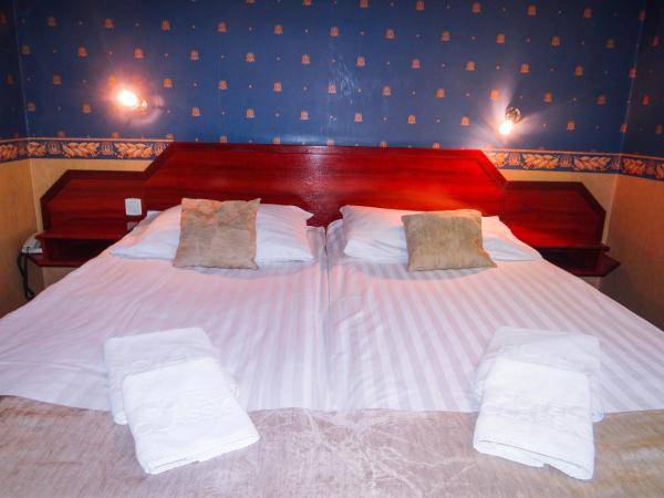 Classic Hotel : photo 4 de la chambre chambre double ou lits jumeaux standard