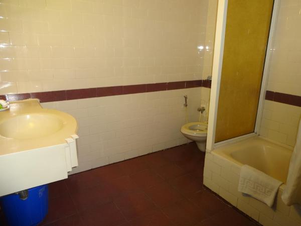 Nalapad's Hotel Bangalore International : photo 10 de la chambre chambre deluxe