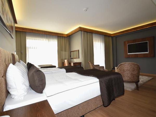 The Elegant Hotel : photo 5 de la chambre chambre lits jumeaux deluxe