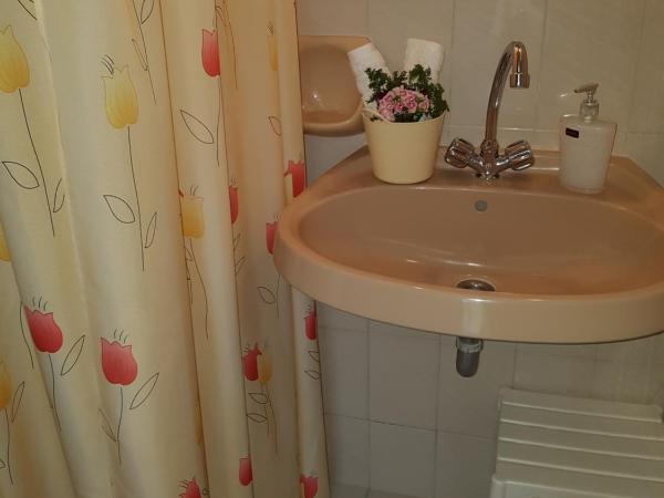 Georgia Old Town Apartments : photo 7 de la chambre studio avec vue sur jardin