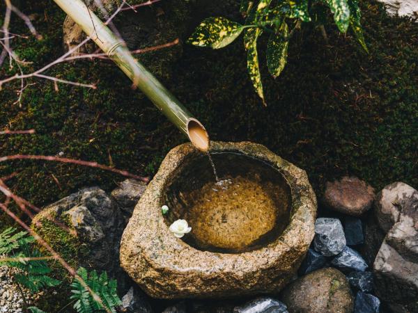 Hostel Koharubiyori Kyoto : photo 8 de la chambre japanese style queen room with garden view