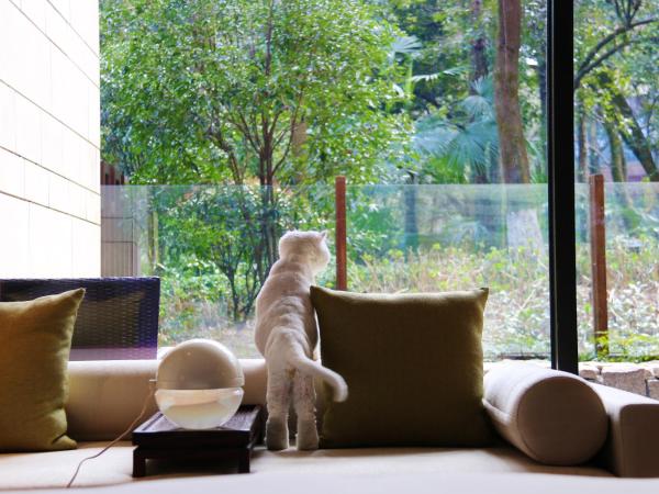 Millennium Resort Hangzhou : photo 1 de la chambre chambre lit king-size côté cour (animaux domestiques admis) - minibar gratuit par séjour