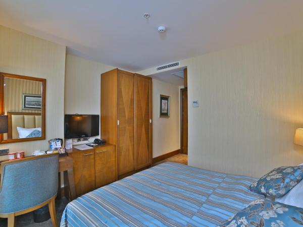 Adelmar Hotel Istanbul Sisli : photo 5 de la chambre chambre simple standard