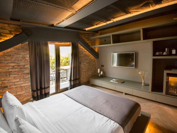 Cityloft 81 : photo 3 de la chambre chambre de luxe avec terrasse