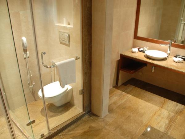 Cambay Grand Kukas : photo 3 de la chambre chambre double standard