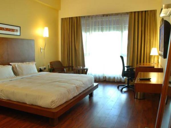 Cambay Grand Kukas : photo 3 de la chambre suite exécutive