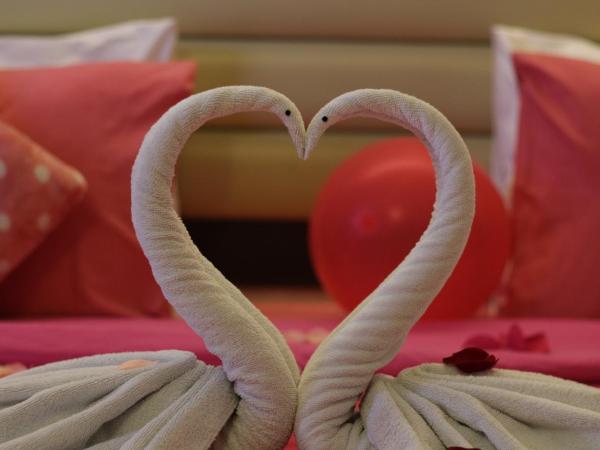 Paradise Spa Hotel : photo 4 de la chambre suite lune de miel