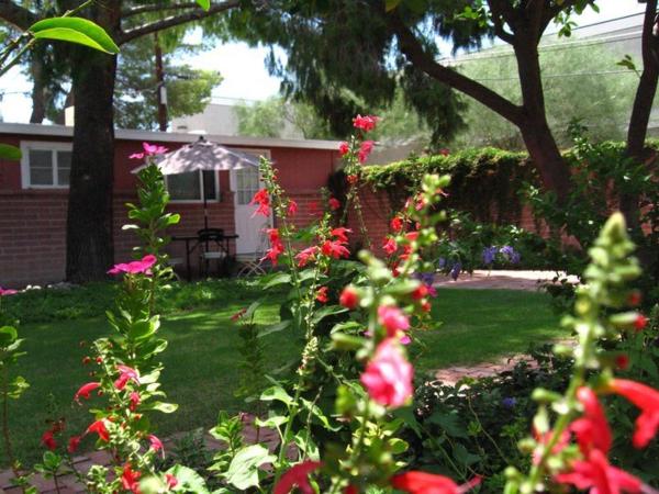 Mon Ami Bed and Breakfast : photo 1 de la chambre cottage