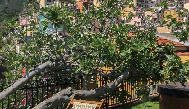 Agave Room Rental, Riomaggiore (updated prices 2026)