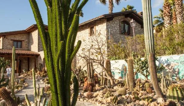 Garden Cactus, Villaggio Mos (updated prices 2026)