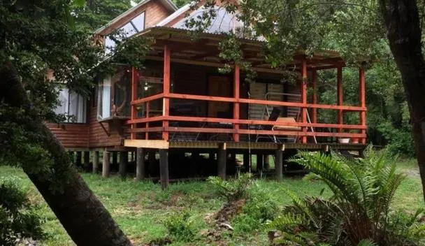 Agradable Cabaña inserta en bosque nativo