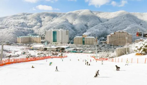 VivaldiPark, Hongcheon, South Korea