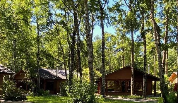 Cabañas en Pucón CASA TUWA