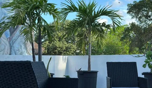 Calma Chicha Rooms, Playa del Carmen (precios actualizados 2026)