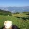 Trentino in malga: Malga Zanga-21