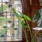 Ca' delle palme-2