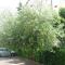 Campiglione Hotel-37