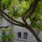 Bed and Breakfast Posserle-35