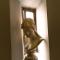 Hotel Antica Locanda-42