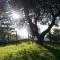 A1 Girasole B&B-26