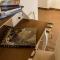 Charming Suite Cavour heart of Florence-10