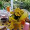 B&B La Delice-38