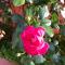 Country House Vignola Mare-24