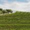 B&b Corte Giare-19