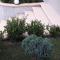 B&B OLGANNA con Parcheggi privati-10