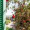 Amoredimare B&B in Villa-53