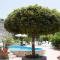 B&B Villa Meridiana-28