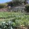 B&B Belvedere-32