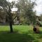 Bed and breakfast Ellera Viterbo-61