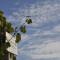 Borgo San Donino-32