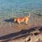 Appartamento al mare Via delle Mimose-27