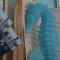 B&B occhi di mare-59