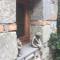 Camere Giuliano basso-0